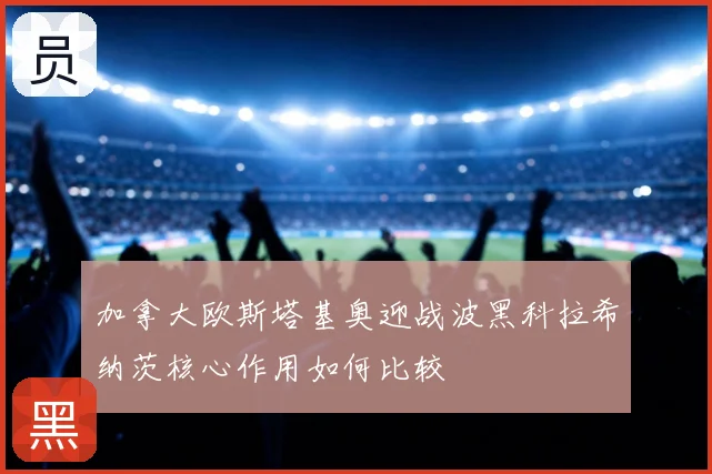 加拿大欧斯塔基奥迎战波黑科拉希纳茨核心作用如何比较