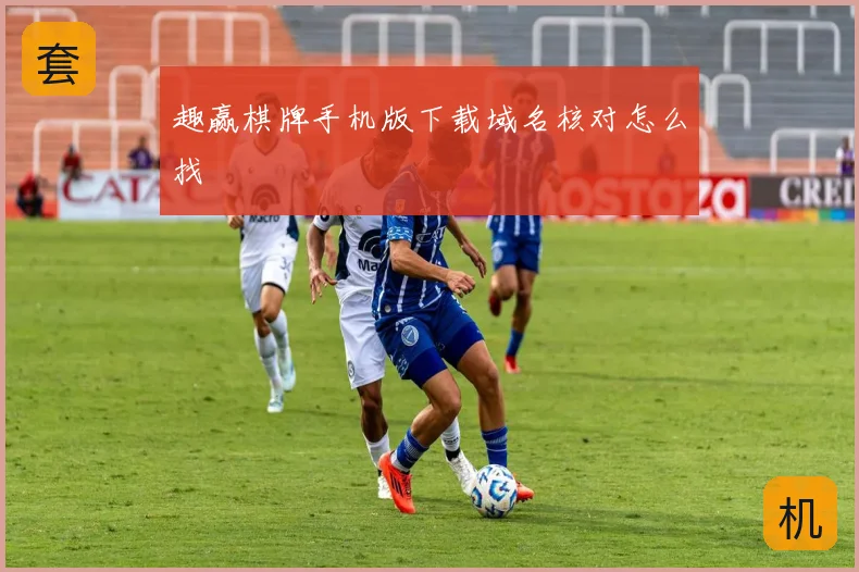 趣赢棋牌手机版下载域名核对怎么找